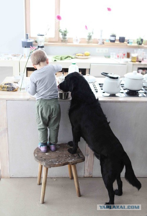 Собакочетверг