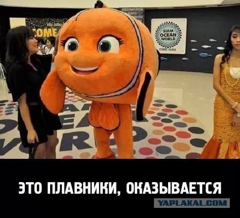 Веселые картинки
