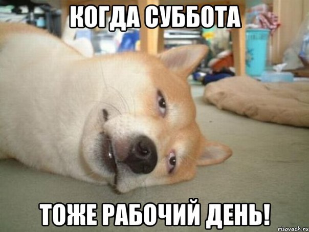 Подборка картинок 17.02.16