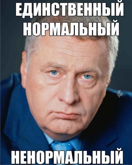 Жириновский дело говорит