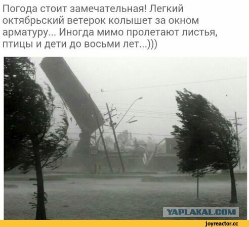 Сегодняшняя погода в Новороссийске - норд-ост