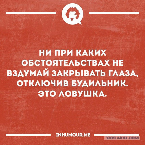 Картинки из ваших интернетов