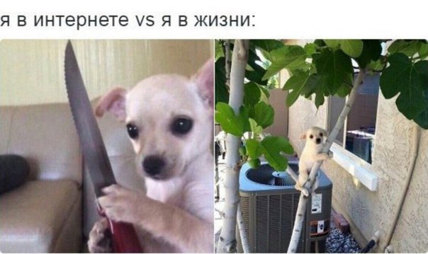 Да они же обдолбанные все!