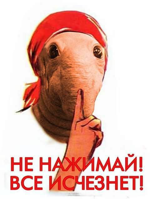 http://s00.yaplakal.com/pics/pics_original/0/9/1/9143190.jpg