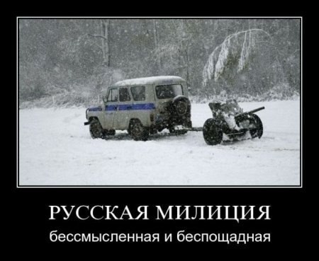 Подборка безудержного веселья