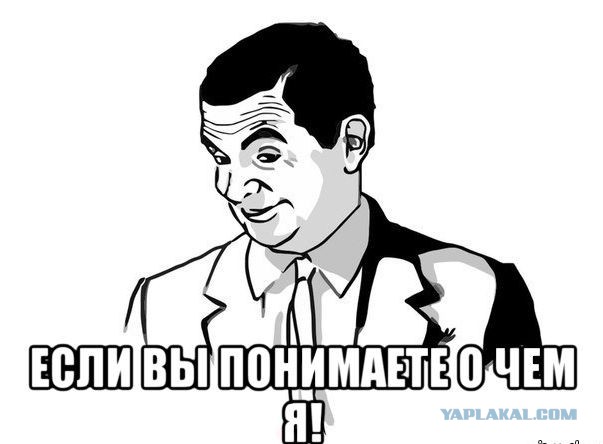 Молодожены купили фургон и отправились в путешествие