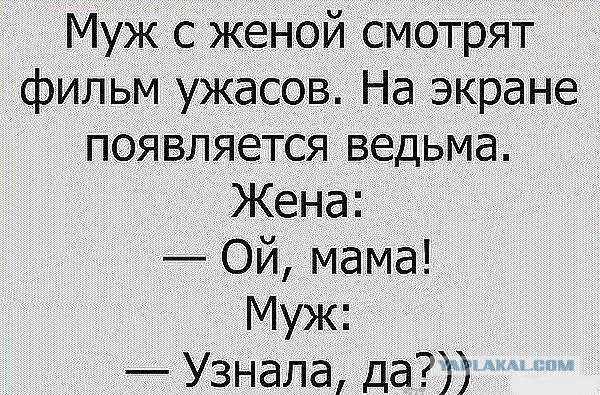 Смешные фекалии канализационных сетей 15.11.2017
