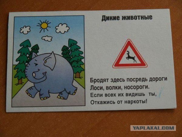 ПДД (16 фото)