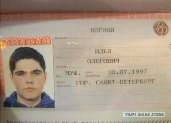 Фамилии разные, смешные