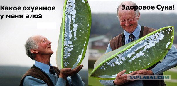 Нестандартный юмор