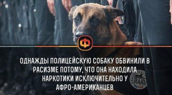 И сбоку бантик