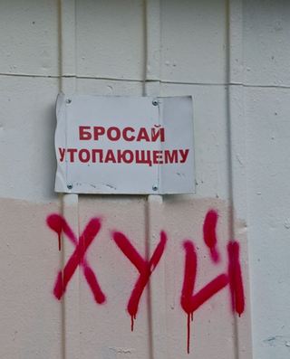 Картинки не для всех на сон грядущий.