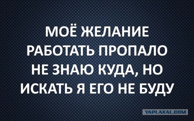 Чудики из социальных сетей