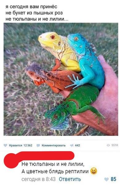 Немного картинок для настроения