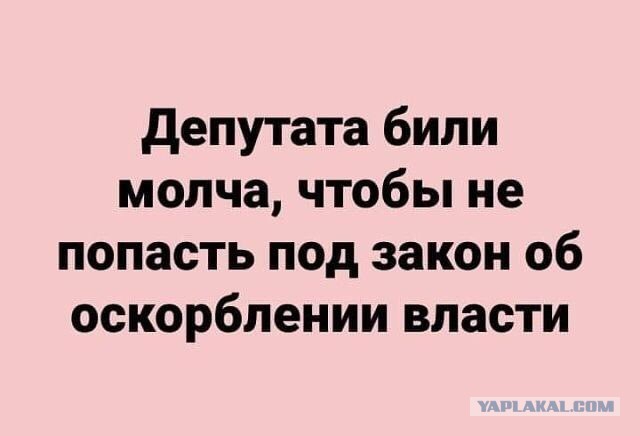 На главу ЦИК Эллу Памфилову напали у нее дома и ударили электрошокером