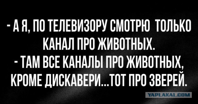 Телевизионный центр «Останкино» предупредил о возможных сбоях в телевещании в связи с долгами
