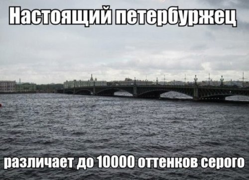 Прикольные картинки и фото с надписями и коментами????