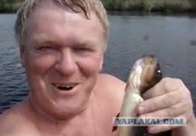 Снеки. Мошенничество как оно есть