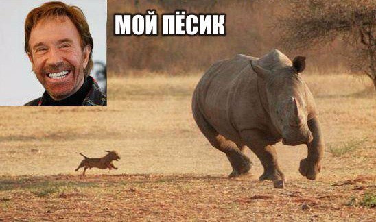 Древние мемы с ВК. Для тех кто забыл #8