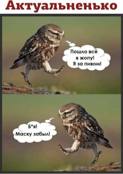 Подборка интересных и веселых картинок 14.04.2020