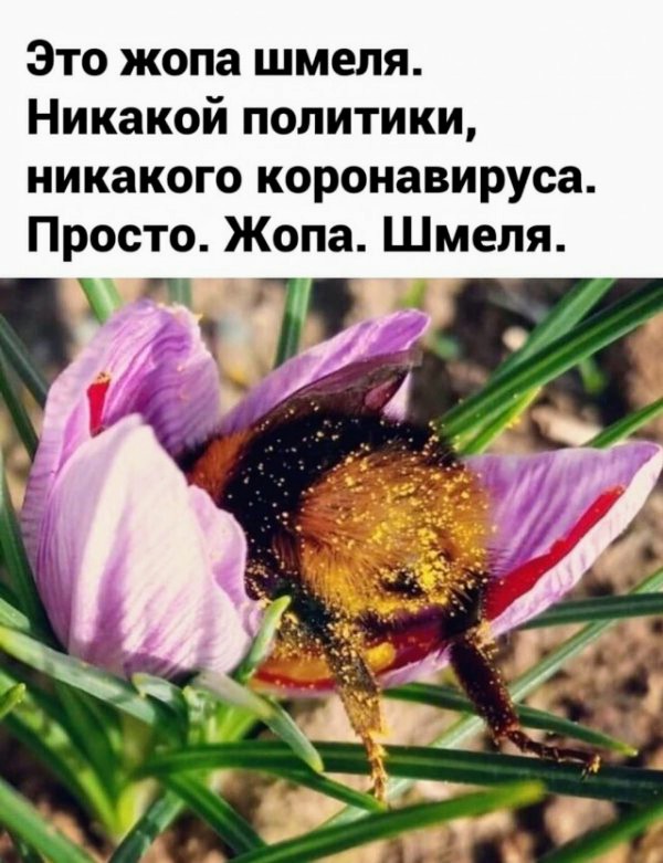 Немного картинок для настроения 30.10.20