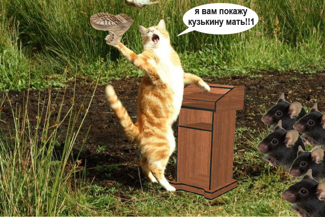 Кот поёт
