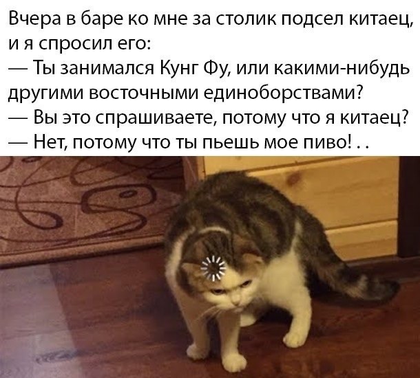 Сотня картинок для настроения 25.12.2020