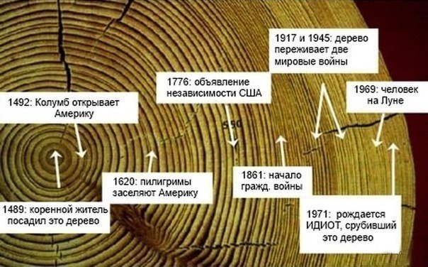 Лесорубы, вырубившие гигантские деревья Британской Колумбии, 1900-1930 гг