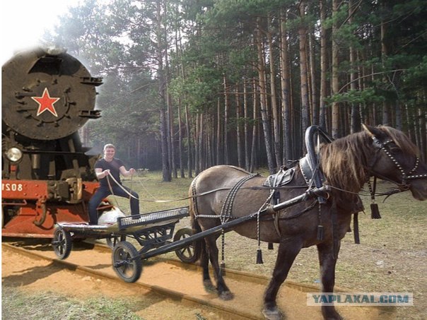Фотожаба: если б я имел коня...