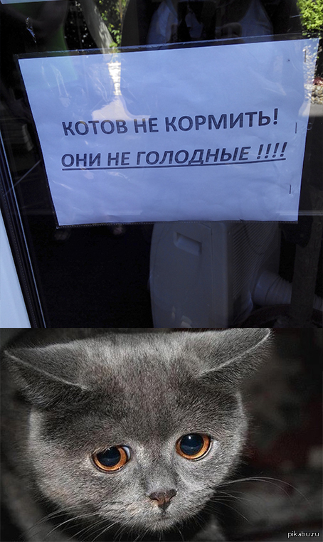 (G)old 3