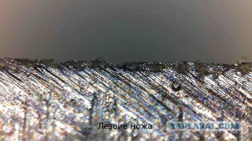 Микроскоп "Натуралист"