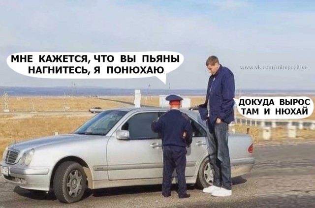 Весёлый полтишок 26.02