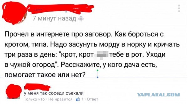 Забавные комментарии из социальных сетей 22.03.21