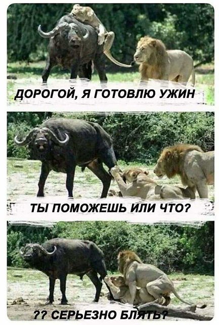 Прикольные и просто красивые картинки 30.05.21