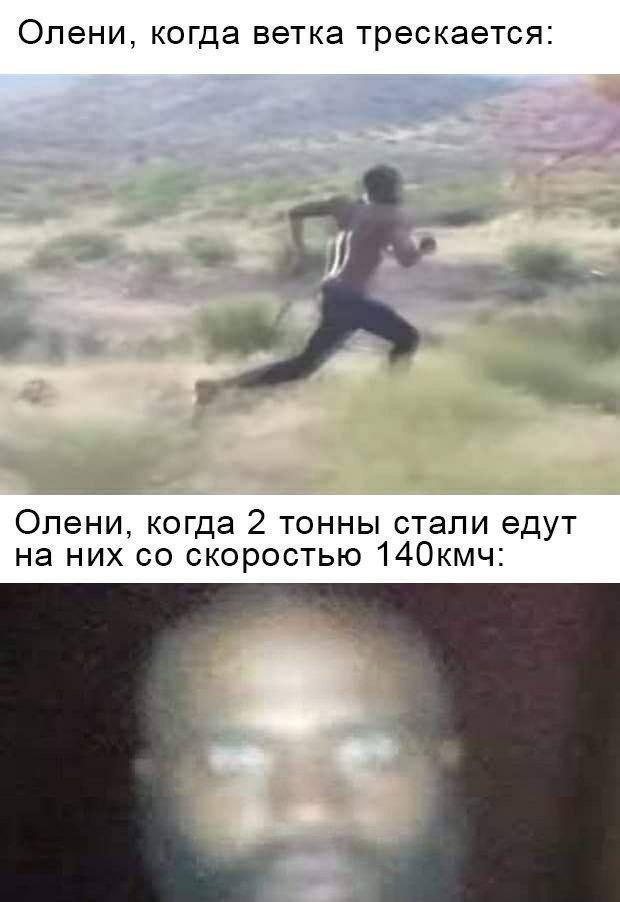 Картинки и мемы для настроения 16.06.2021