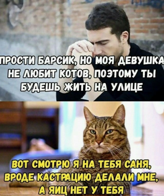 Картинки и мемы для настроения 04.08.2021