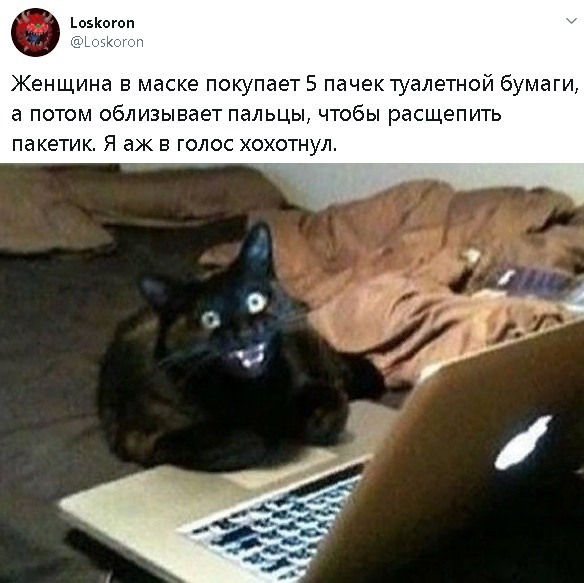 Так себе картинки 12.08.21