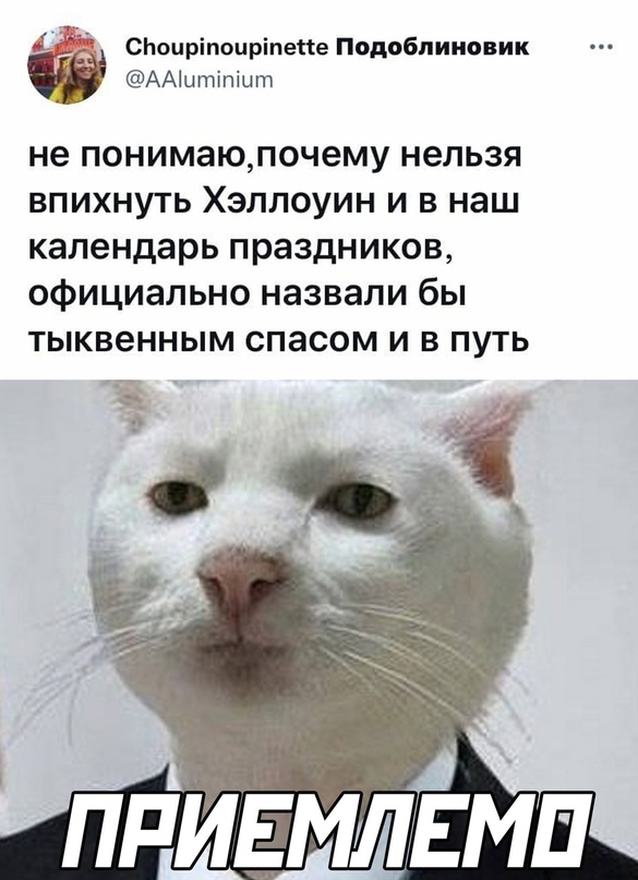 Весёлый полтишок 02.11