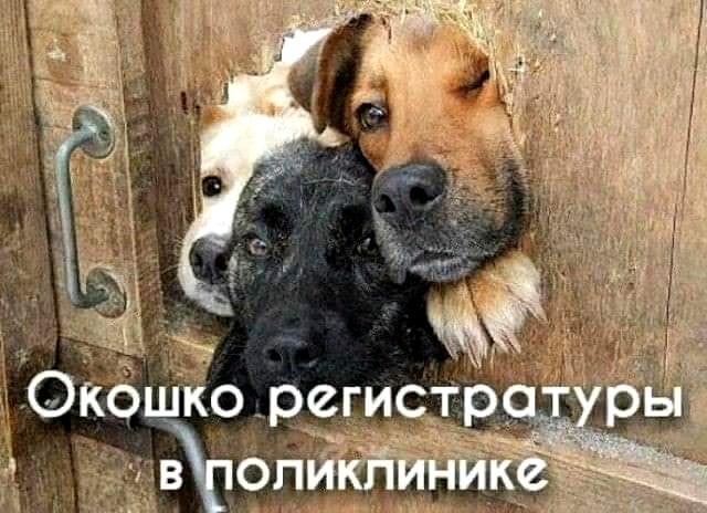 Картинки и мемы для настроения 02.11.2021