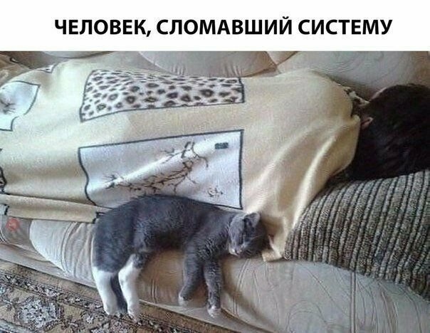 Картинки и мемы для настроения 03.11.2021