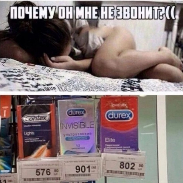 Наши любимки такие смешные