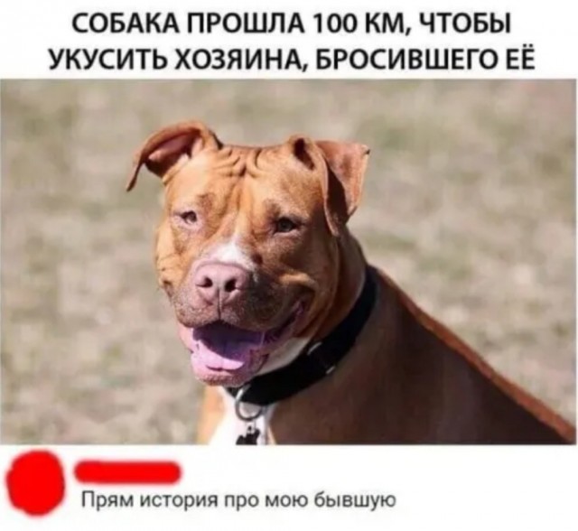 Так себе картинки 07.05.22