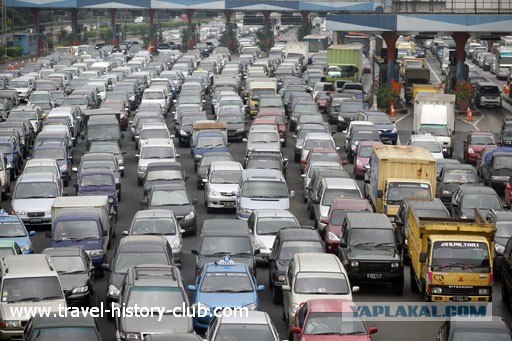 Они живут только 40 лет