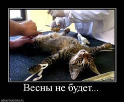 От такого даже Бадя офигел