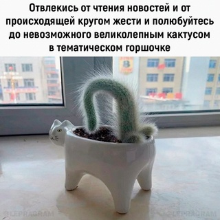 Немного картинок для настроения - 129