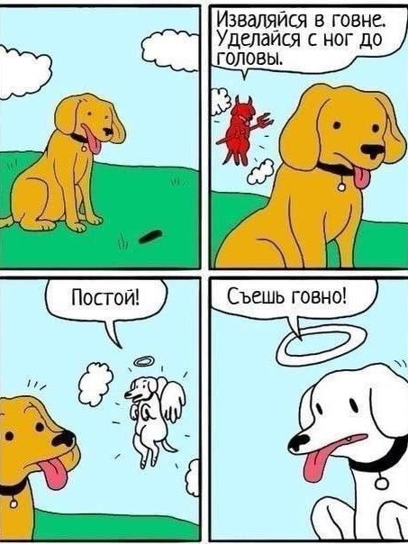 Весёлый полтишок 02.10.22