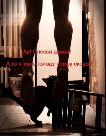 О терминальных состояниях организма