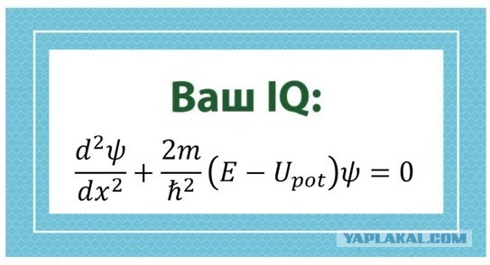 А какой у Вас IQ?