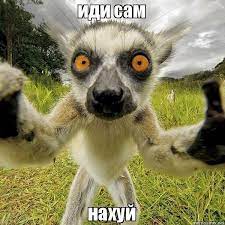 Накипело