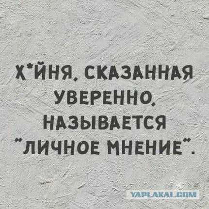 Диванные эксперты